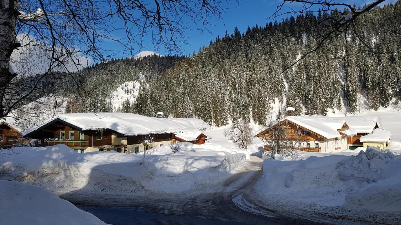 Villa Bauernhof Krahlehenhof Filzmoos Esterno foto